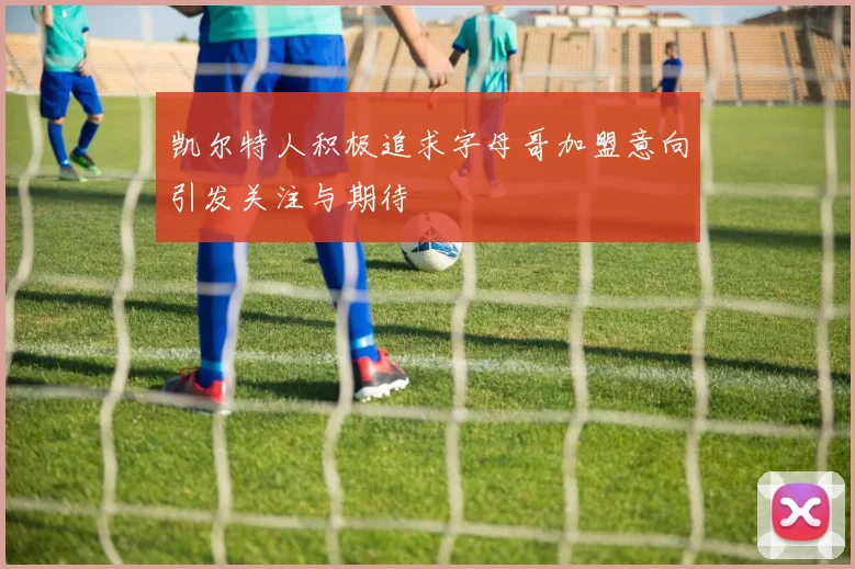 凯尔特人积极追求字母哥加盟意向引发关注与期待